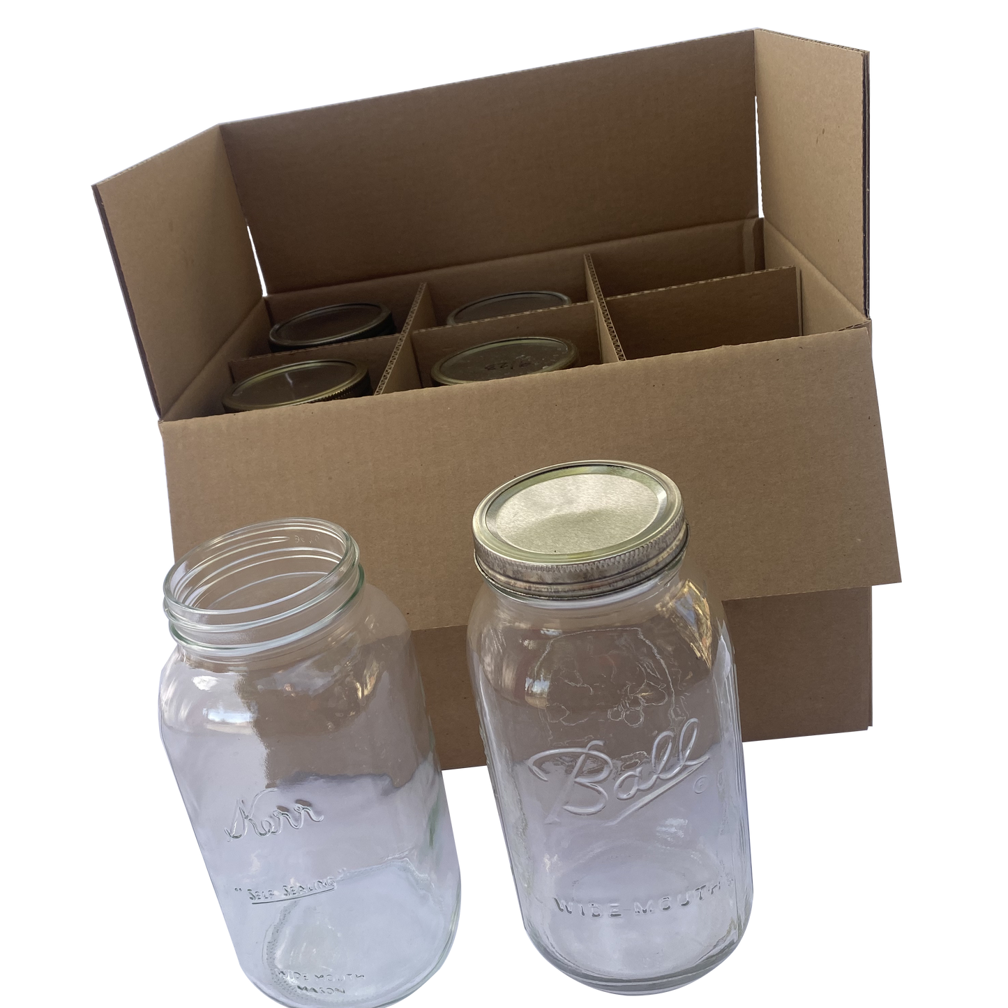 Standard Half Gallon Size Boxes - Bundle of 10