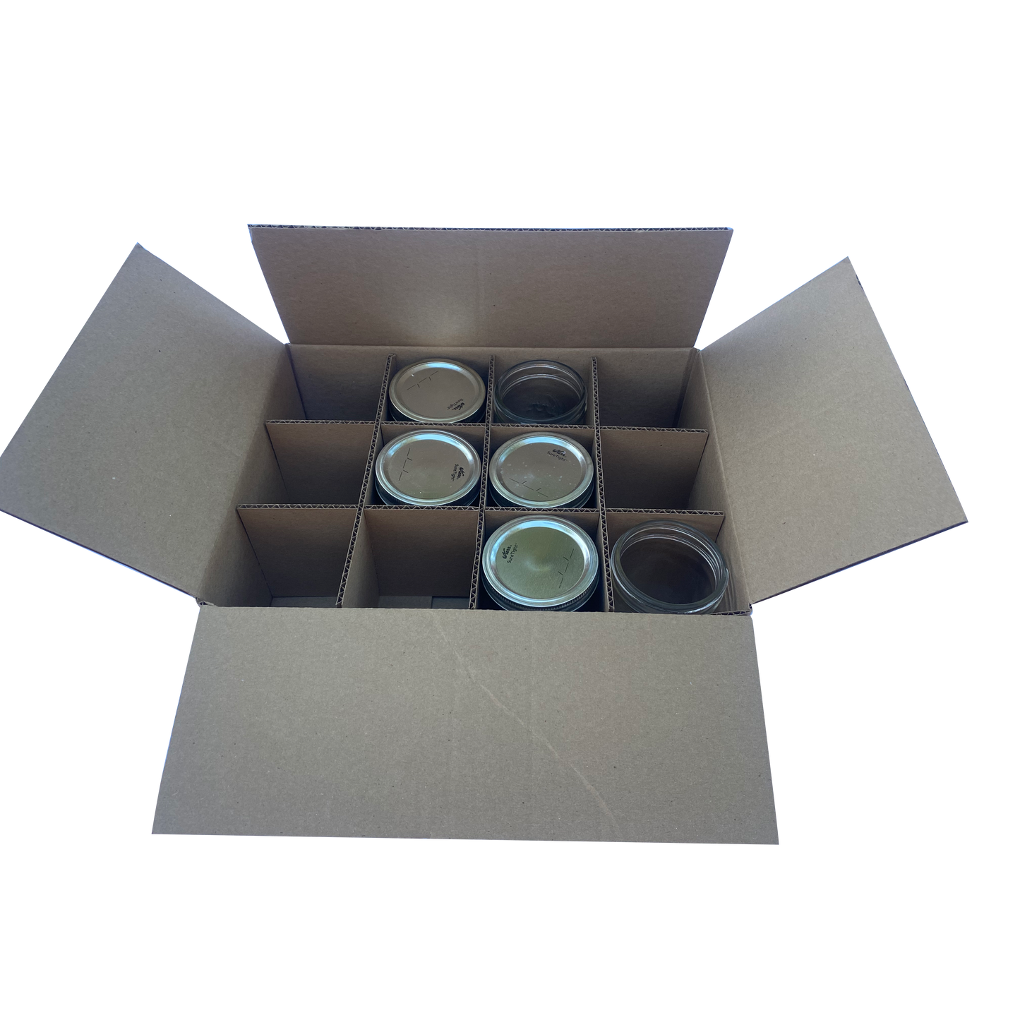 Standard Wide Mouth Pint Size Boxes - Bundle of 10